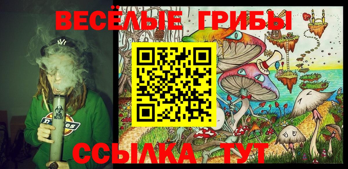 Зеленодольск  Псилоцибиновые грибы мухоморы  Вход с VPN 