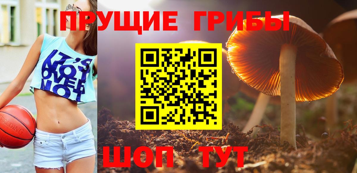 Псилоцибиновые грибы Magic Shrooms Зеленодольск